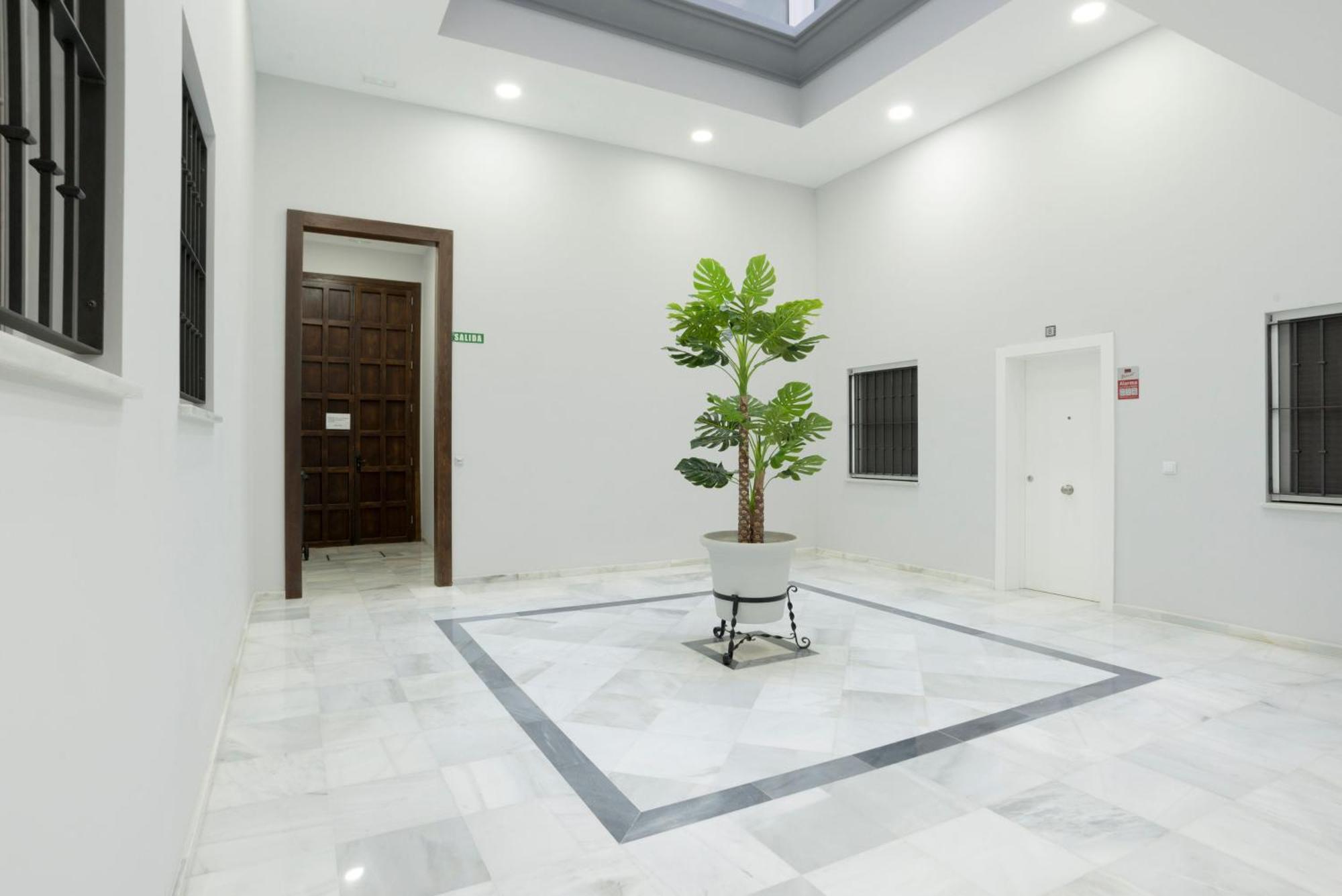 Apartamento Centro Deluxe Cádiz Eksteriør billede
